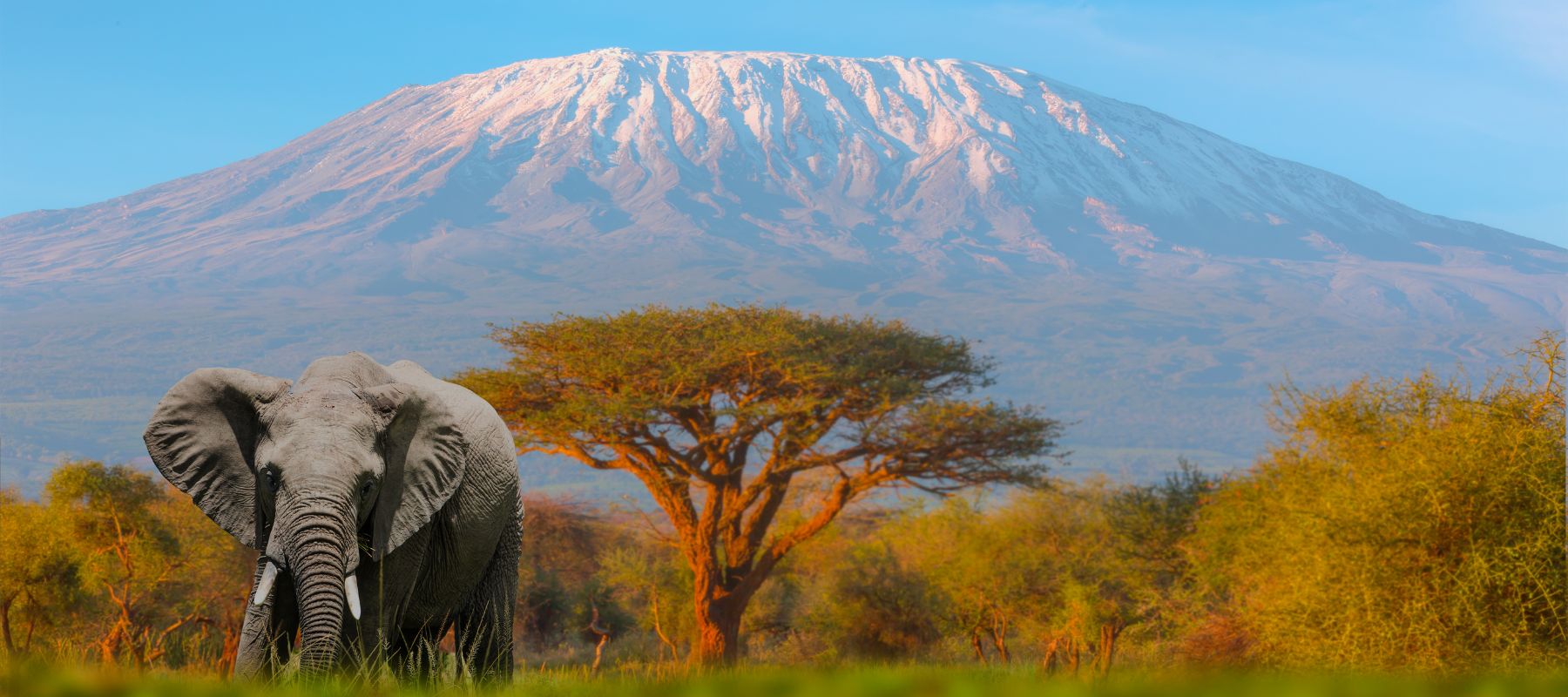 Tanzania Safari Adventure
